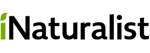 iNaturalist